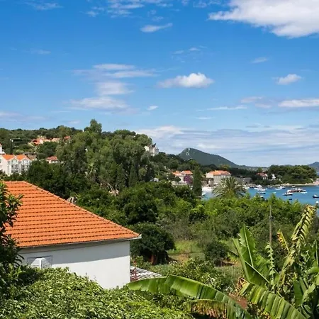 Apartment Maria Kolocep- Studio With Terrace And Sea View Kolocep Island